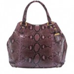 prada-pitone
