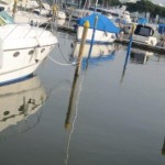 IMG_0520