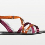 hogan-donna-pe-2010-8 hogan-donna-pe-2010-8