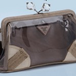 plex-mistolino-pochette-prada-2010