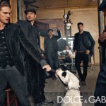d&G-2011-8 d&G-2011-8