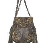 cavalli-2011-2 cavalli-2011-2