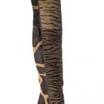 cavalli-scarpe-2011-14 cavalli-scarpe-2011-14