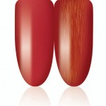 cnd-12 cnd-12