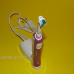 oral-b-6 oral-b-6