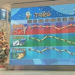 toro-grafico-2012
