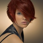 capelli-medi.2013.15