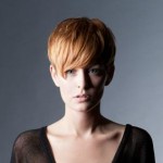 capelli-medi.2013.3