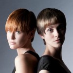 capelli-medi.2013.4